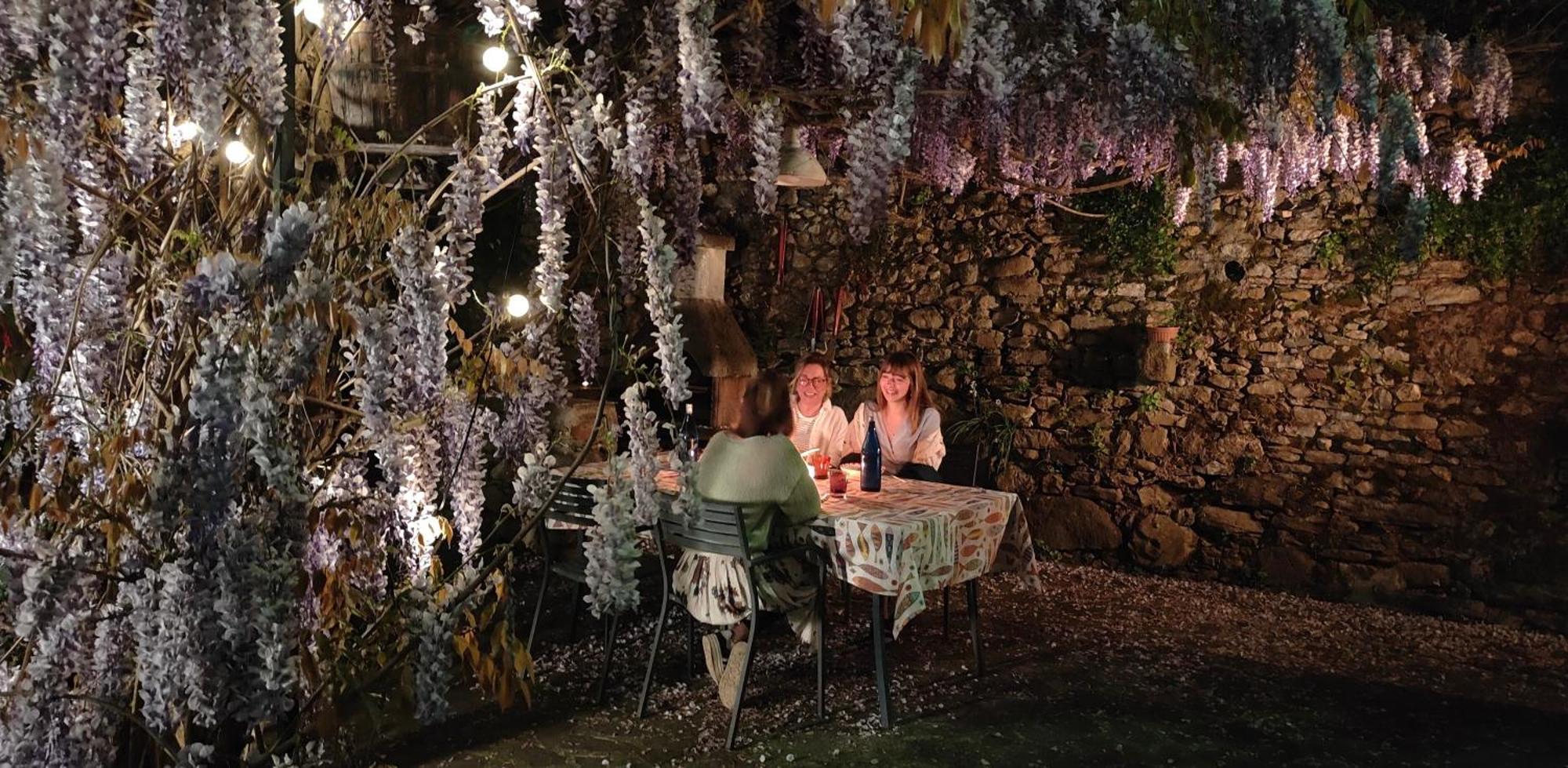 Biassa La Casa Delle Pietre Parlanti - Casa In Pietra Ai Piedi Del Parco Delle 5 Terre Bed & Breakfast エクステリア 写真